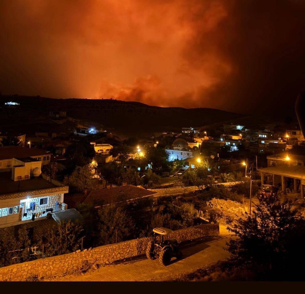 diyarbakir-cinar-e1718956649765.jpeg